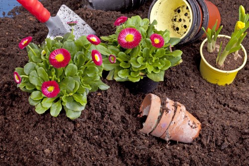 The image depicts a section of a garden bed with rich, dark soil featuring two healthy, vibrant primrose plants with bright pink and yellow flowers and lush green leaves. To the left, a small red-handled garden trowel is partially inserted into the soil, indicating recent planting or tending. In the background, there are two small yellow pots, one containing a young green plant with emerging leaves, and the other partially obscured. Nearby, an empty terracotta flower pot lies on its side, with some dirt visible inside. Additionally, a yellow plastic watering can with black spots is positioned at the top right, suggesting ongoing garden maintenance. The surrounding environment appears to be an outdoor garden area, possibly in the front or back garden of a property in Chessington, with natural light indicating a clear or partly cloudy day. The scene reflects careful gardening activity, consistent with professional garden and landscaping services in the Chessington area, supporting healthy plant growth and garden development.