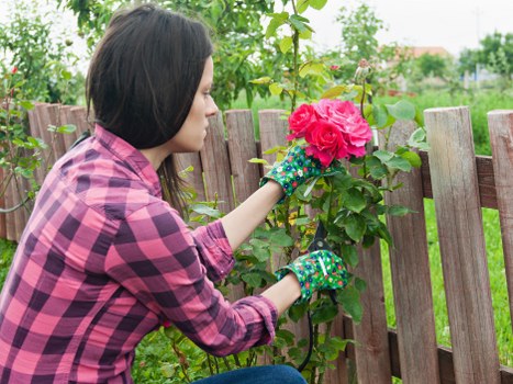 Person using a screen reader to access gardening service information