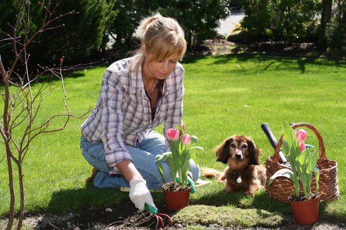 Close-up of gardener making adjustments to plantings as remediation