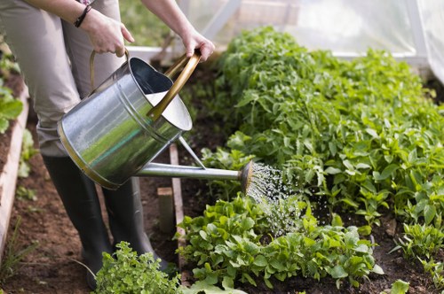 Professional gardeners working on a Chessington garden