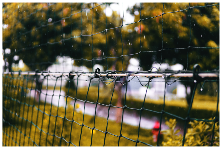 Close-up view of a black wire garden fence supported by metal posts, with weathered black plastic clips securing the wires. In the background, a neatly maintained garden features trimmed hedges, lush